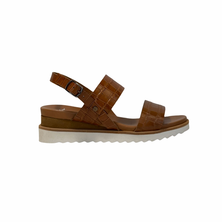 Ara<br>28204 camel