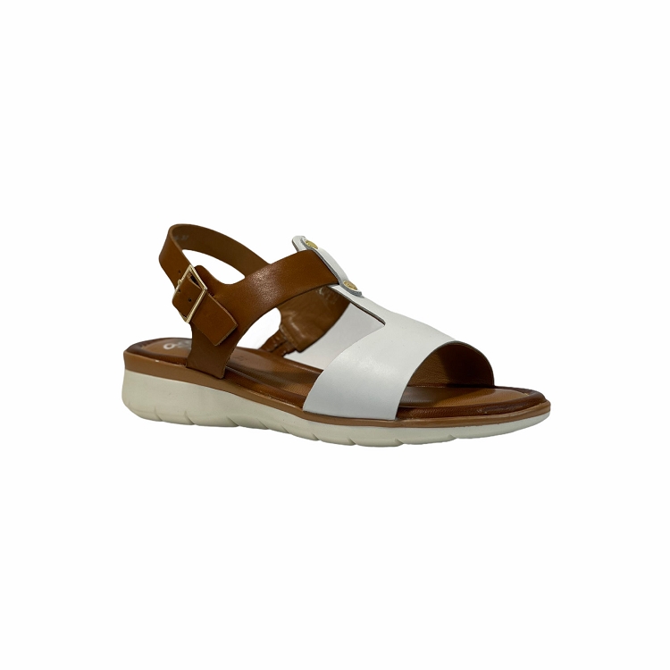 Ara<br>23610 blanc5001301_3