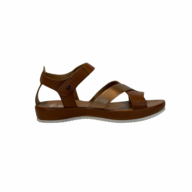 Ara<br>15181 camel