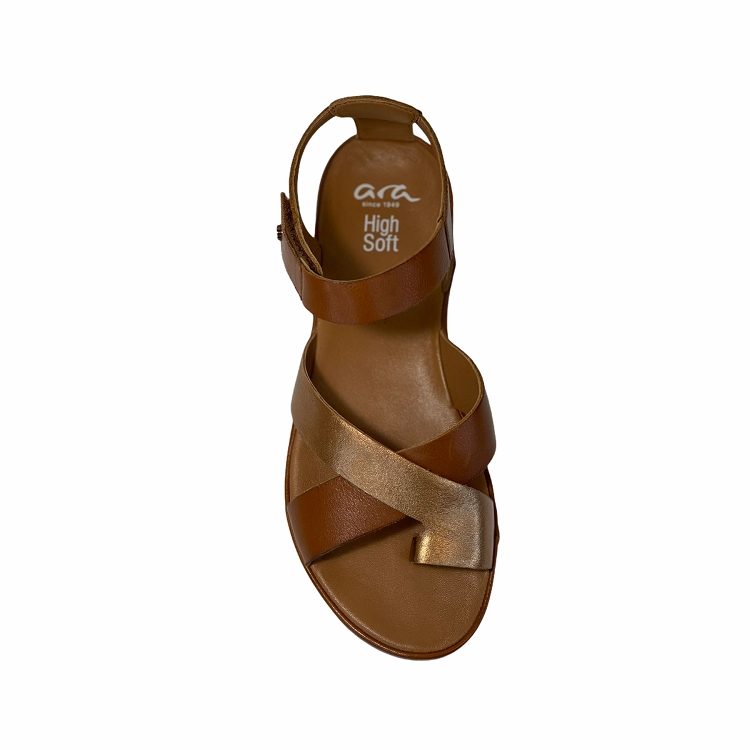 Ara<br>15181 camel5001401_2