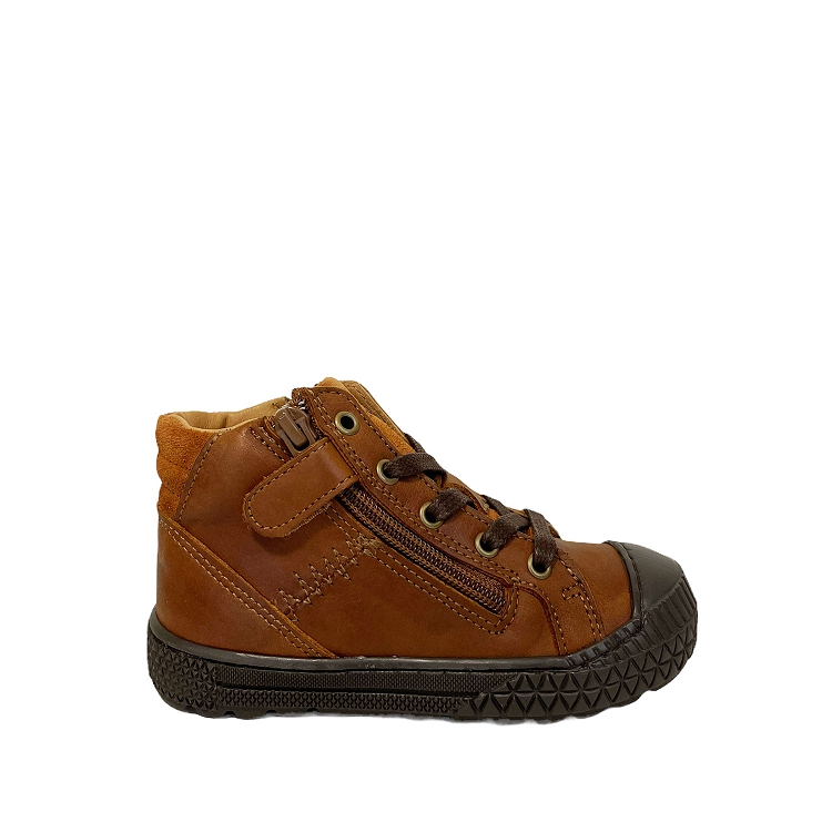 Bellamy<br>faya camel