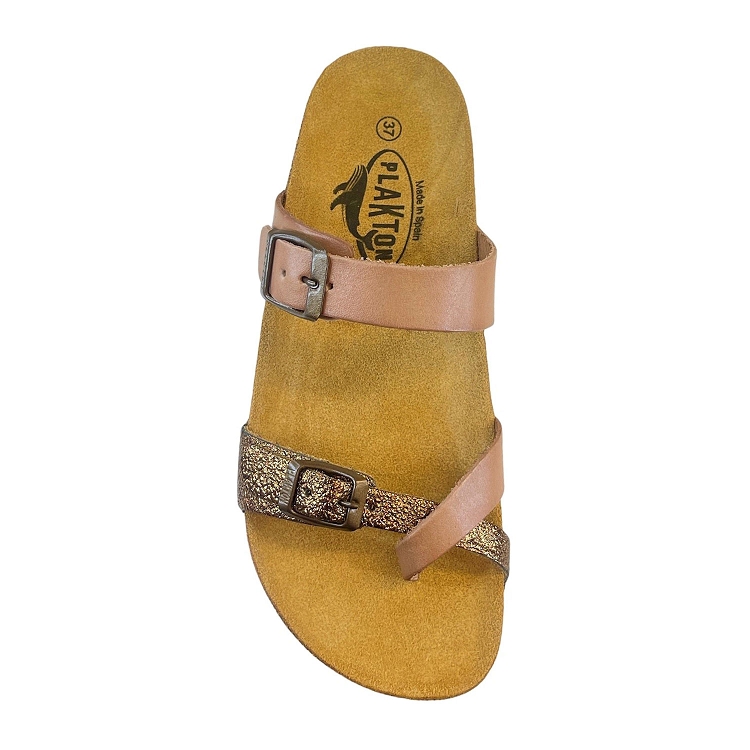 plakton camel