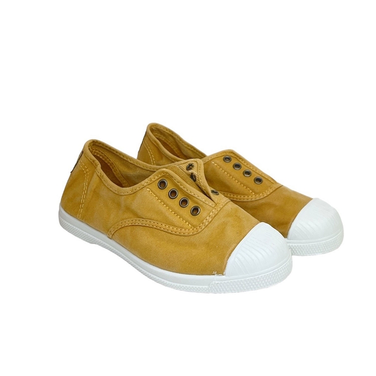 Natural world<br>470 camel6299704_3