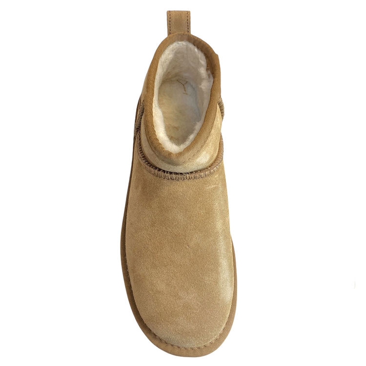 Colors of california<br>ywpla01 camel6315501_2