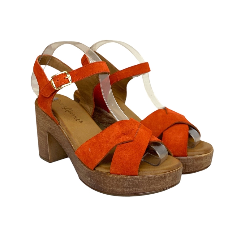 Coco et abricot<br>musieges orange6342702_5
