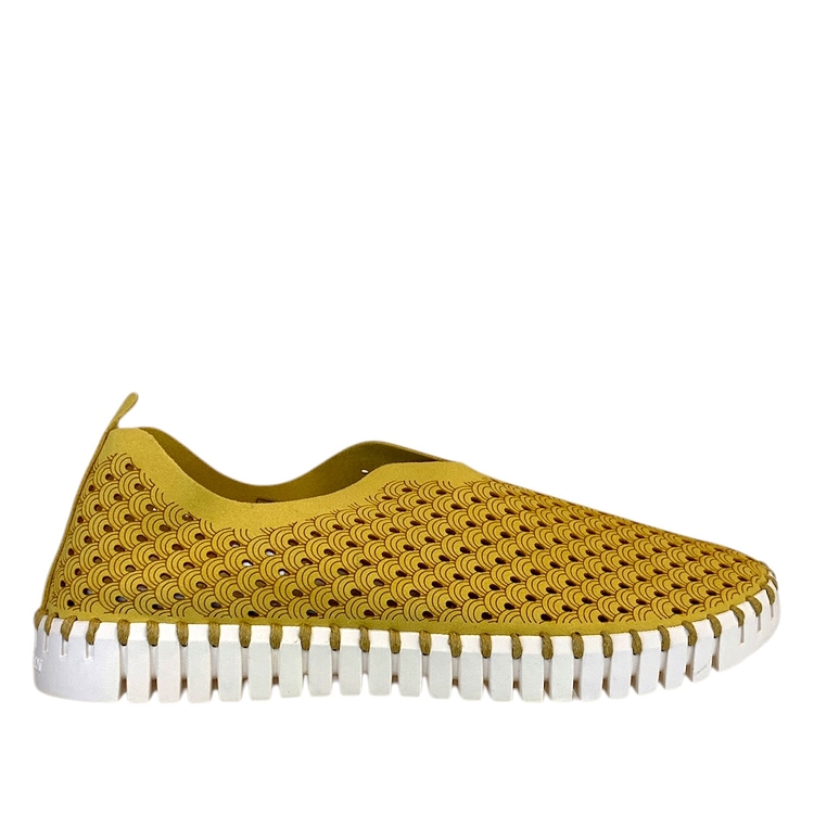 Ilse jacobsen<br>tulip jaune