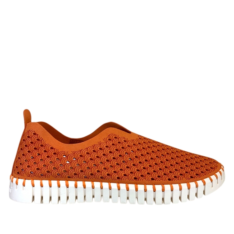 Ilse jacobsen<br>tulip orange