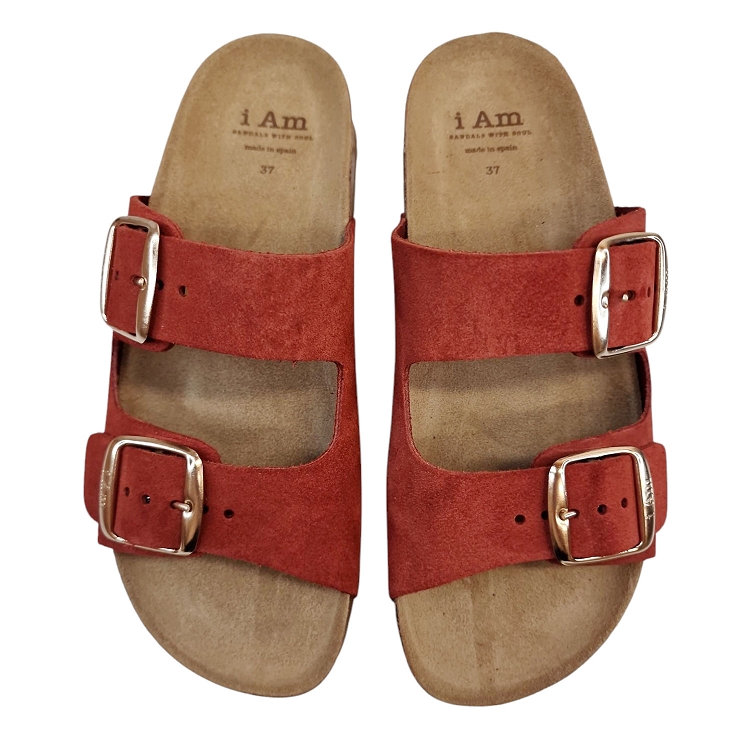 I am<br>oya terracotta6349503_2