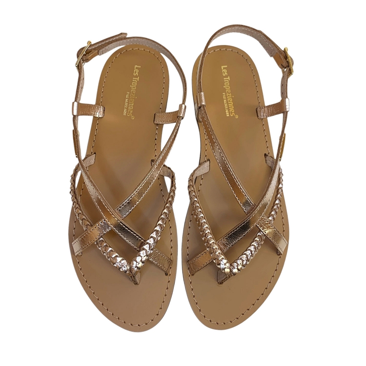 Tropeziennes<br>chou dore6351501_2