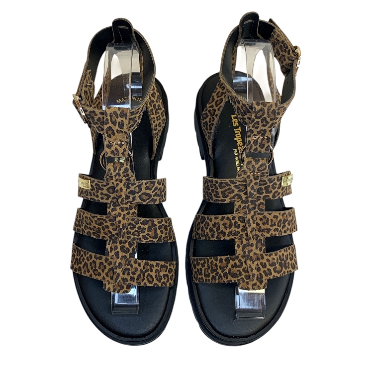 Tropeziennes<br>tobo leo6352902_2