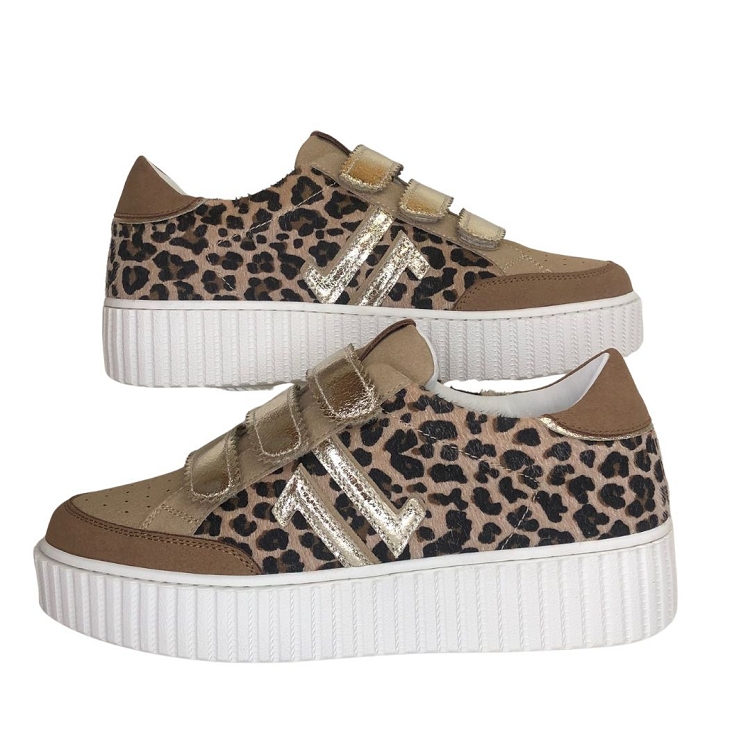 Cl11<br>cl91 leo6372601_4