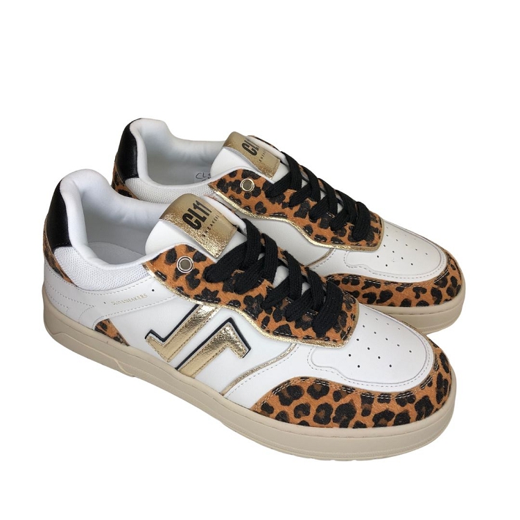 Cl11<br>cl94 leo6372702_2