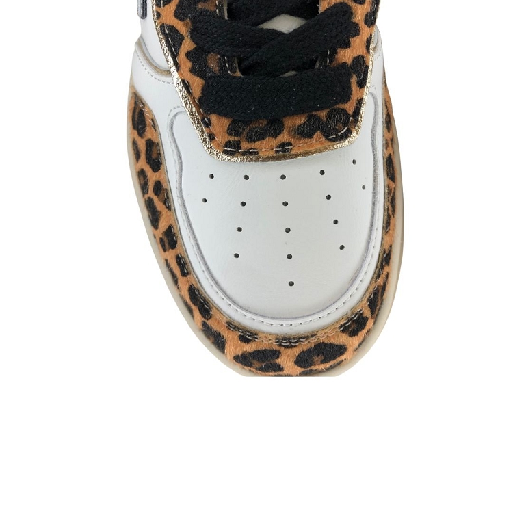 Cl11<br>cl94 leo6372702_5