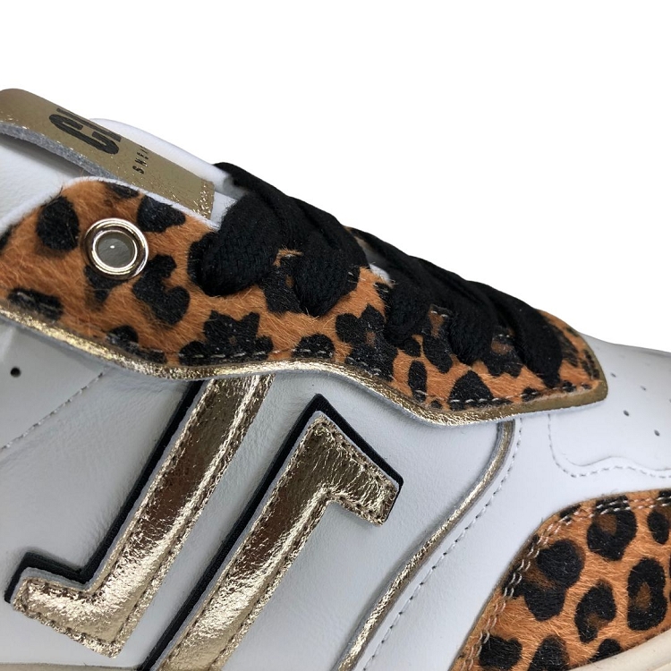 Cl11<br>cl94 leo6372702_6