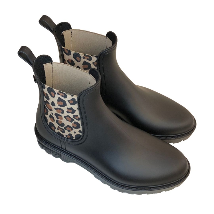 Verbenas<br>gaudi leo leo6378701_2