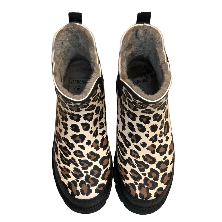 Verbenas<br>lua fur leo6378802_3