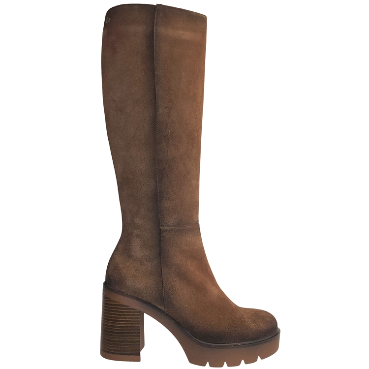 Dorking<br>9559 noisette